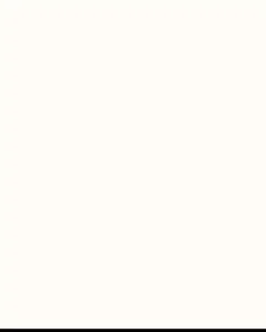 Blank Image